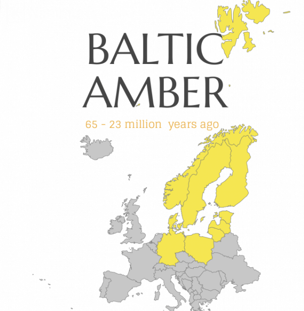 Ambre véritable pays balte